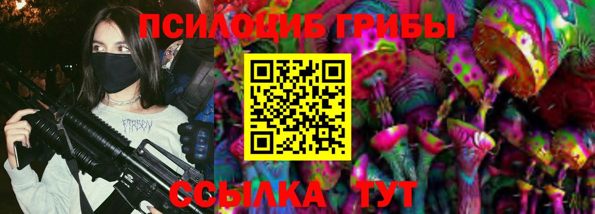Псилоцибиновые грибы мицелий Тобольск